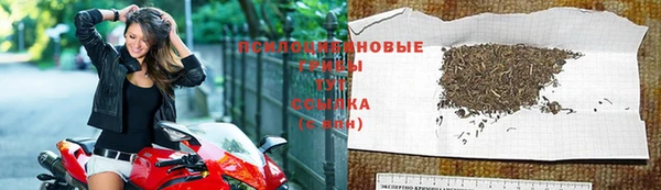 прущая мука Баксан