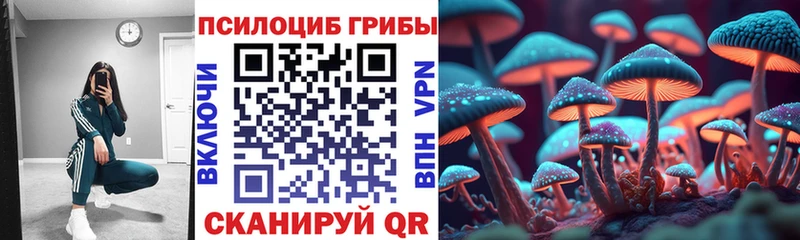 Псилоцибиновые грибы Psilocybe  купить наркоту  Певек 
